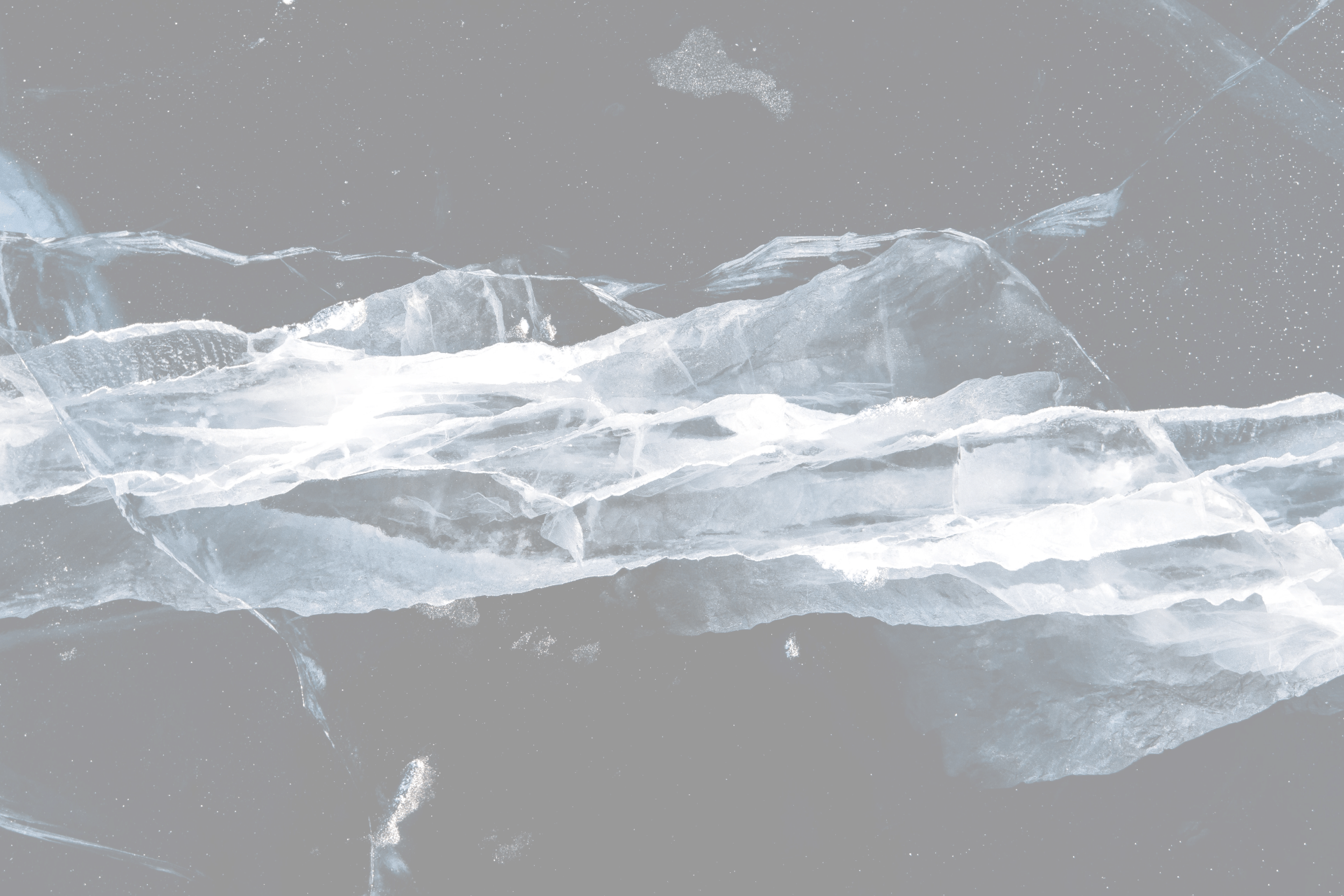 what 비쥬얼 이미지